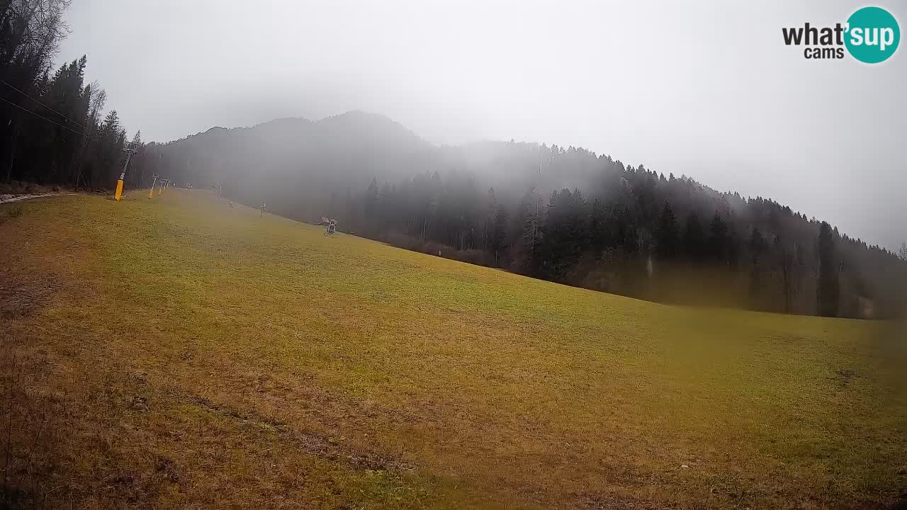 Esquí Kranjska Gora | Brsnina