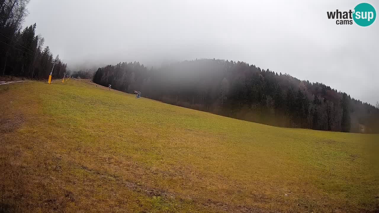 RTC Skigebiet Kranjska Gora | Brsnina