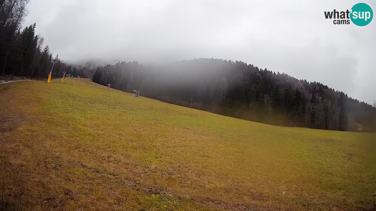 Esquí Kranjska Gora | Brsnina