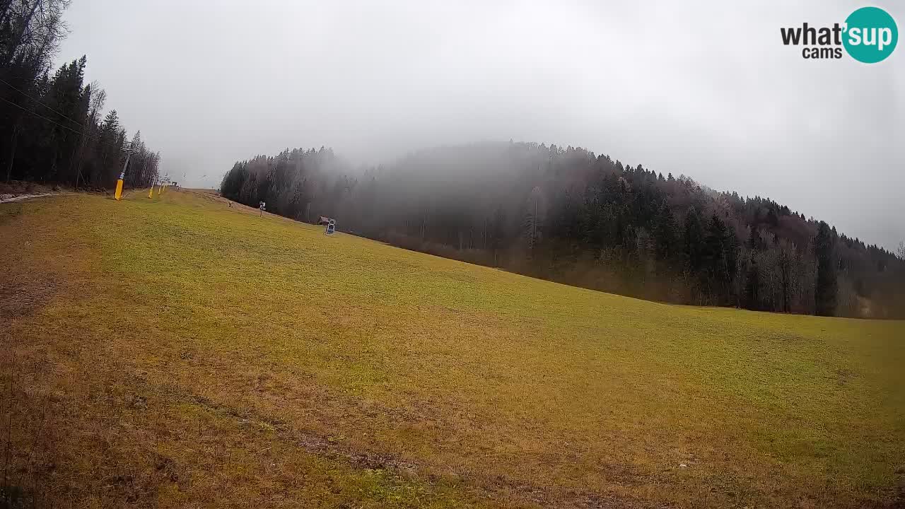 RTC Skigebiet Kranjska Gora | Brsnina