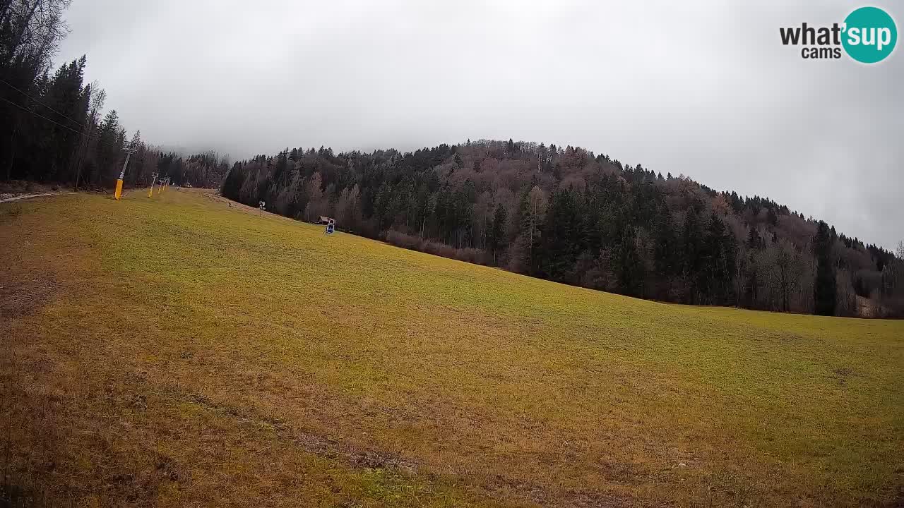 Esquí Kranjska Gora | Brsnina