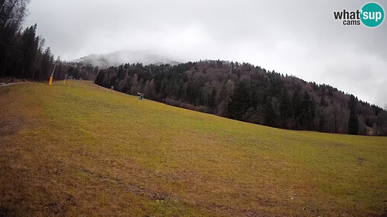 RTC Kranjska Gora | Brsnina