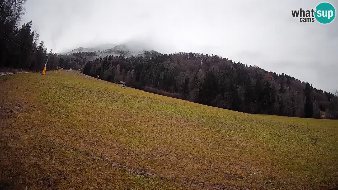 Kranjska Gora Station de ski | Brsnina