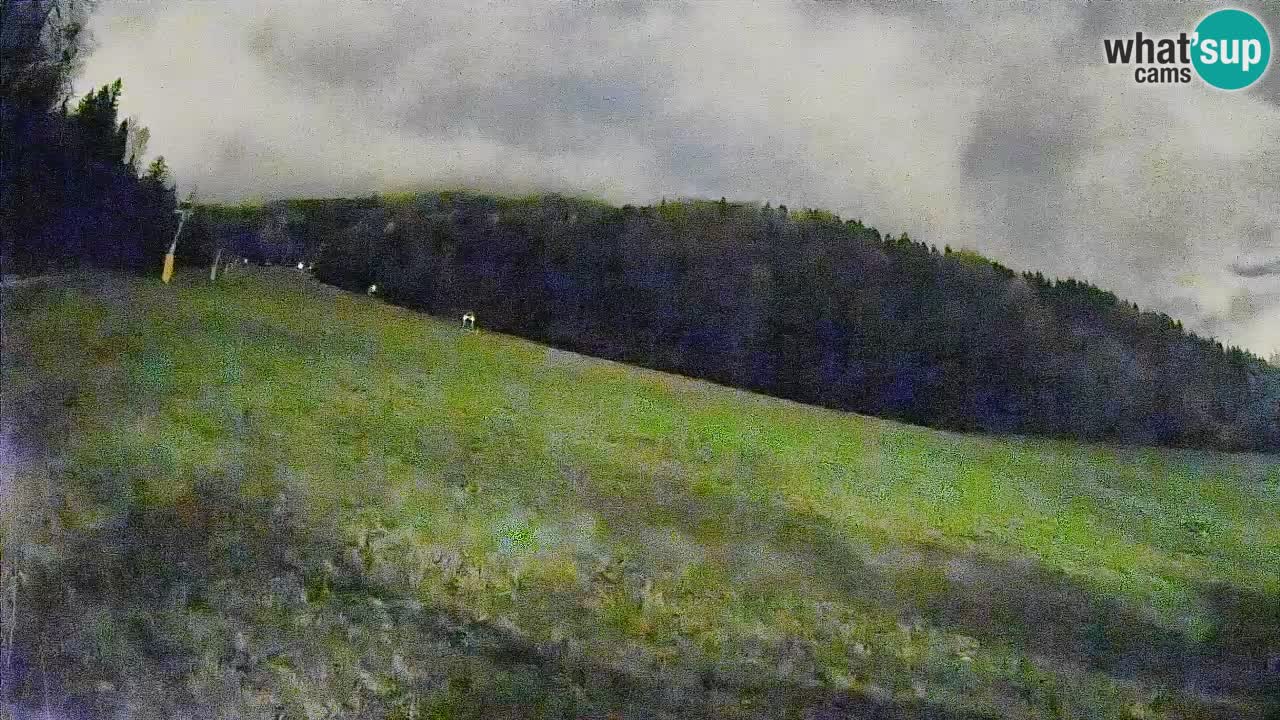 RTC Kranjska Gora | Brsnina