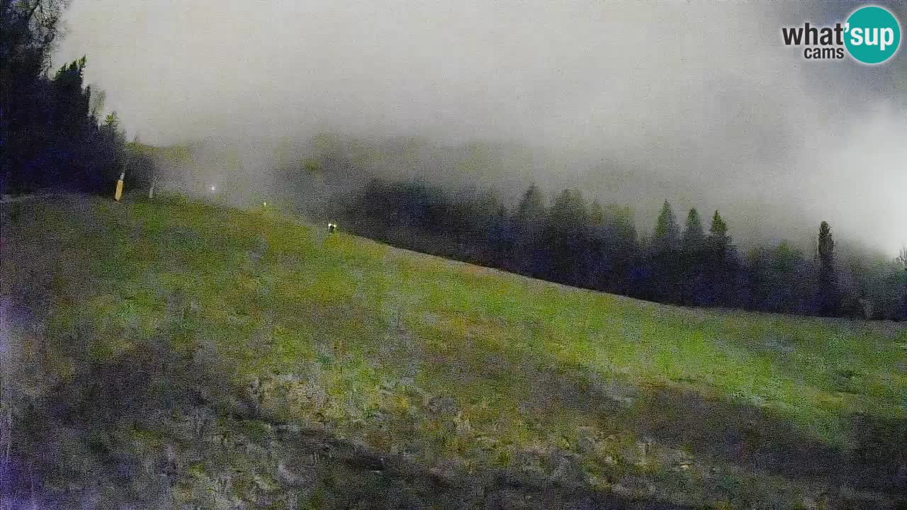 RTC Skigebiet Kranjska Gora | Brsnina