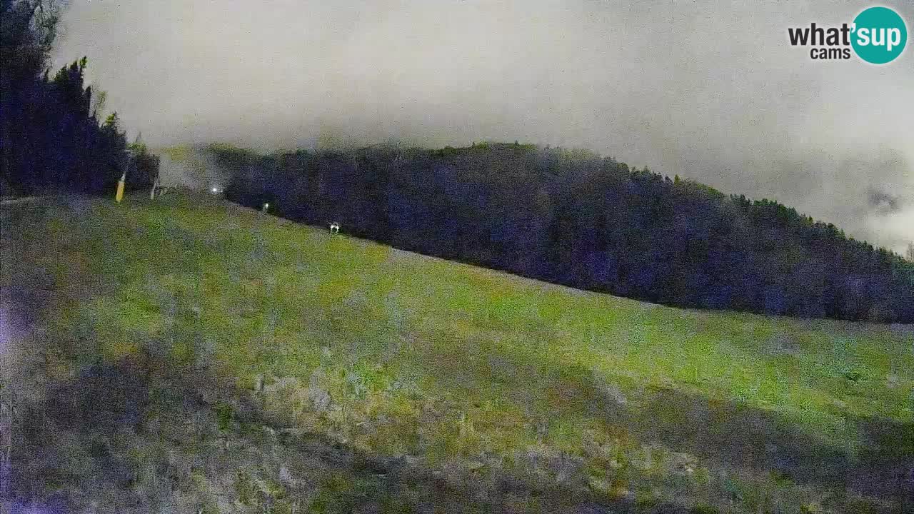 RTC Skigebiet Kranjska Gora | Brsnina