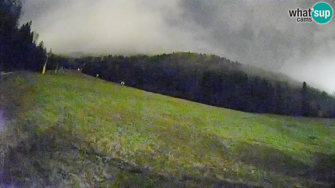 Comprensorio sciistico Kranjska Gora | Brsnina