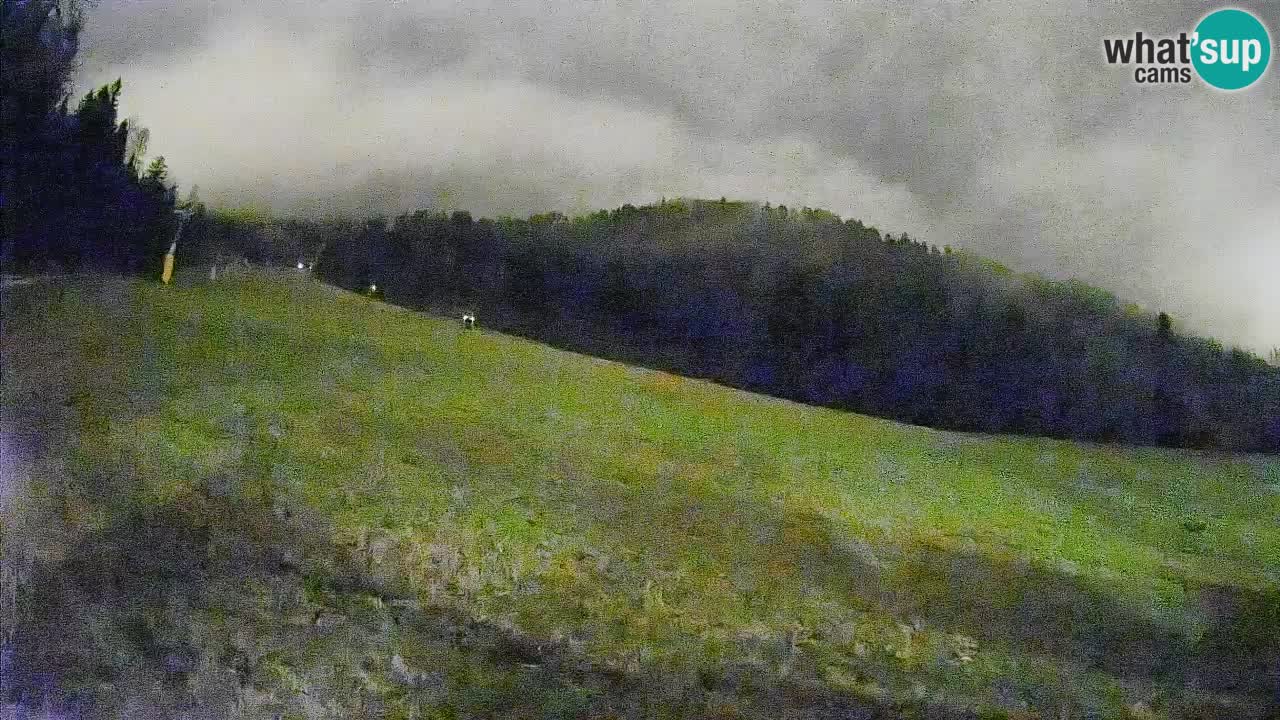 Comprensorio sciistico Kranjska Gora | Brsnina