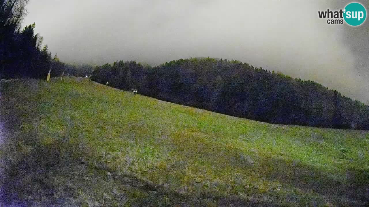 RTC Kranjska Gora | Brsnina