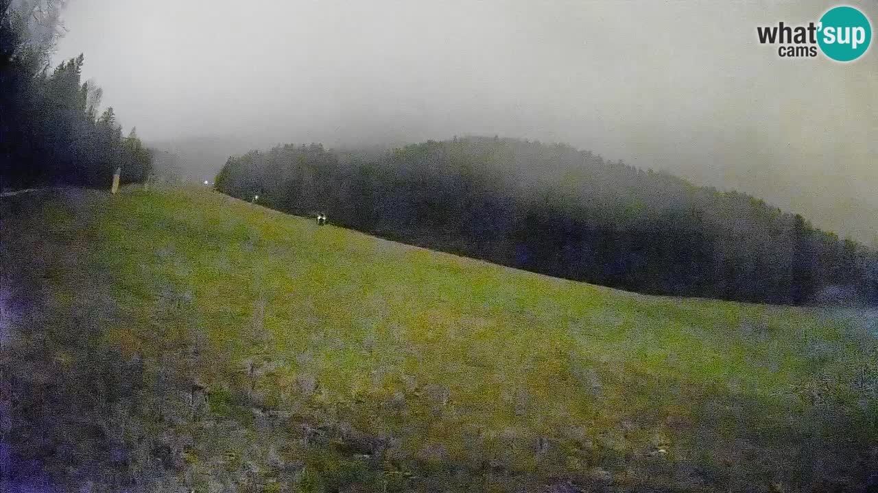 Esquí Kranjska Gora | Brsnina