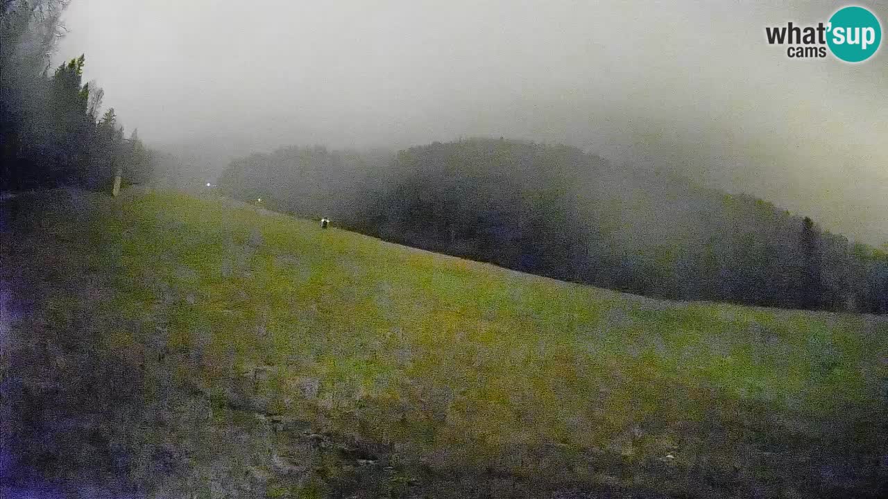 Esquí Kranjska Gora | Brsnina