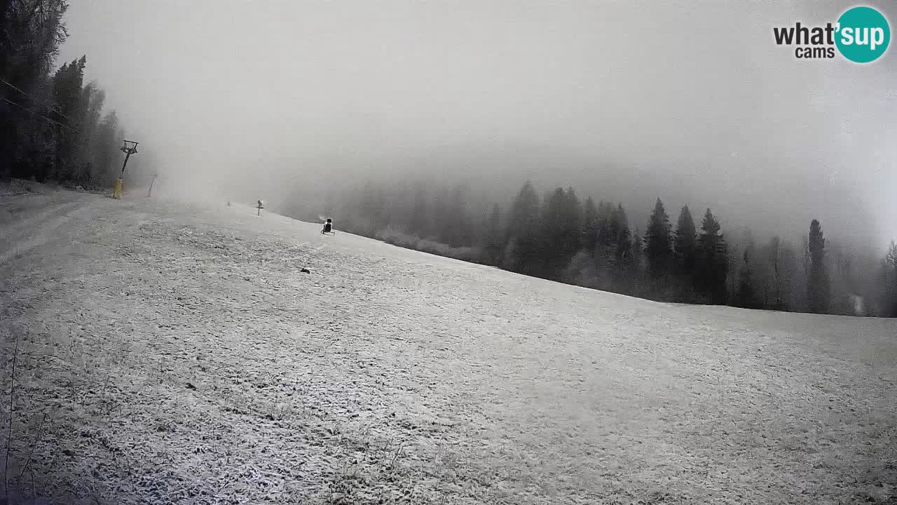 Esquí Kranjska Gora | Brsnina