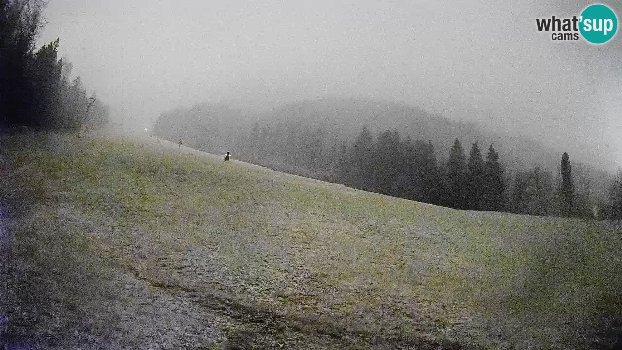 Kranjska Gora Station de ski | Brsnina