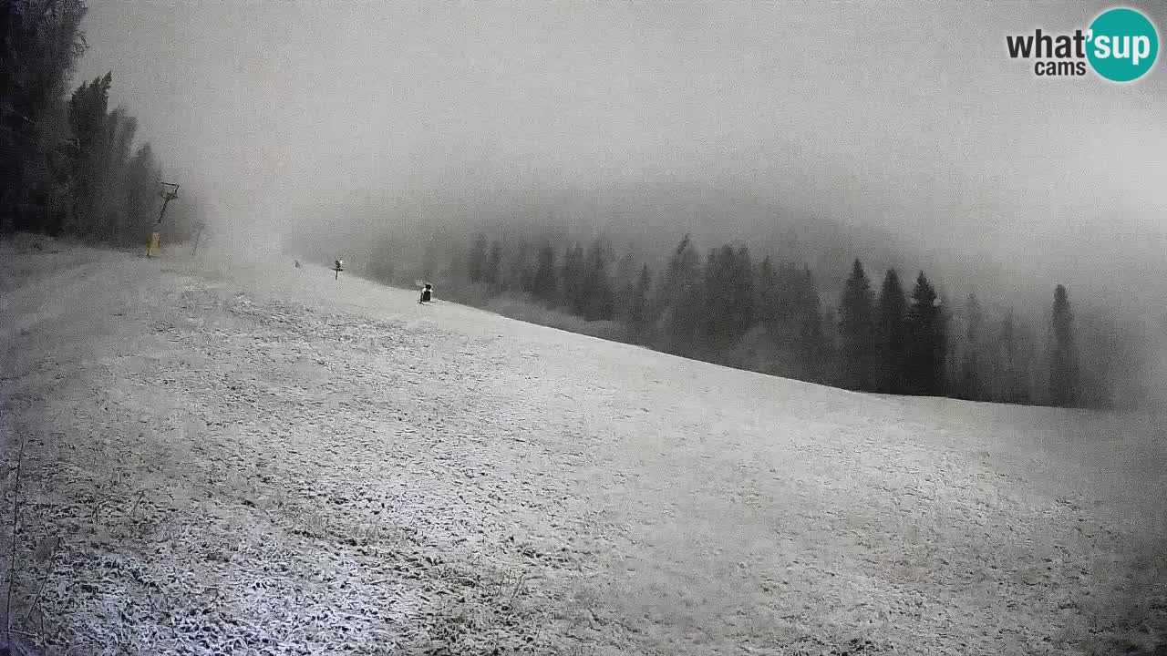 RTC Kranjska Gora | Brsnina