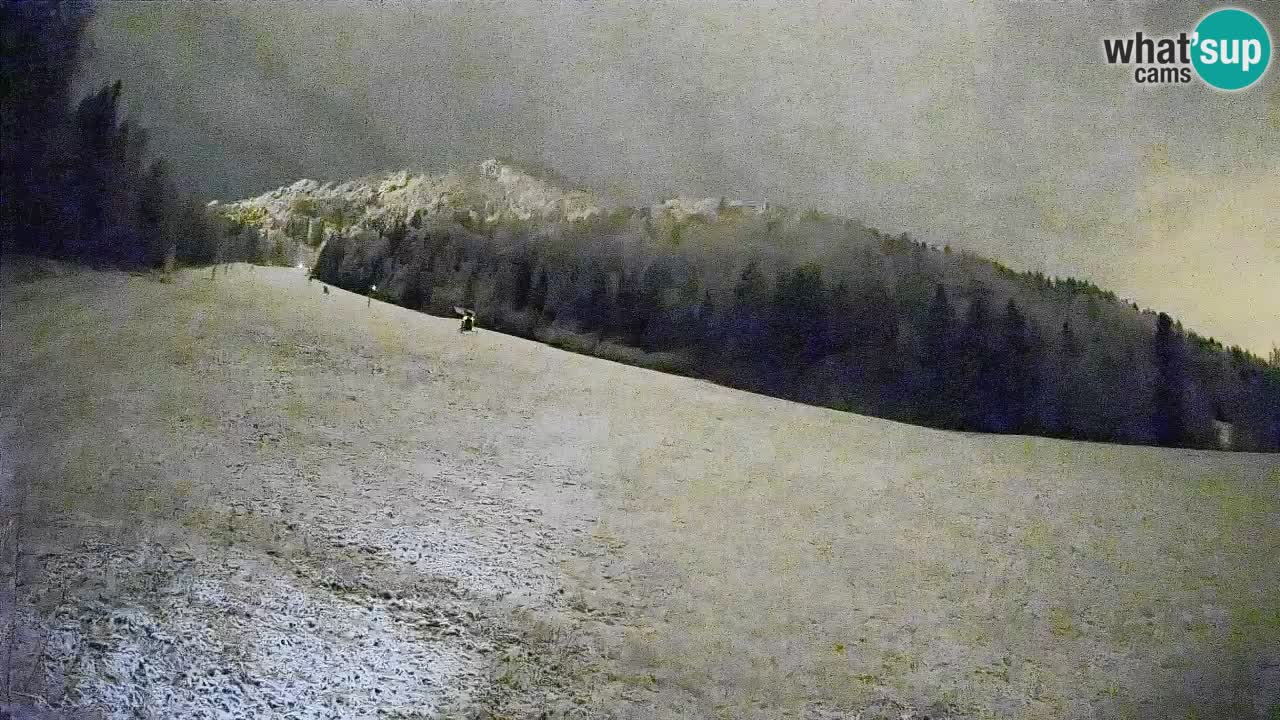 RTC Kranjska Gora | Brsnina