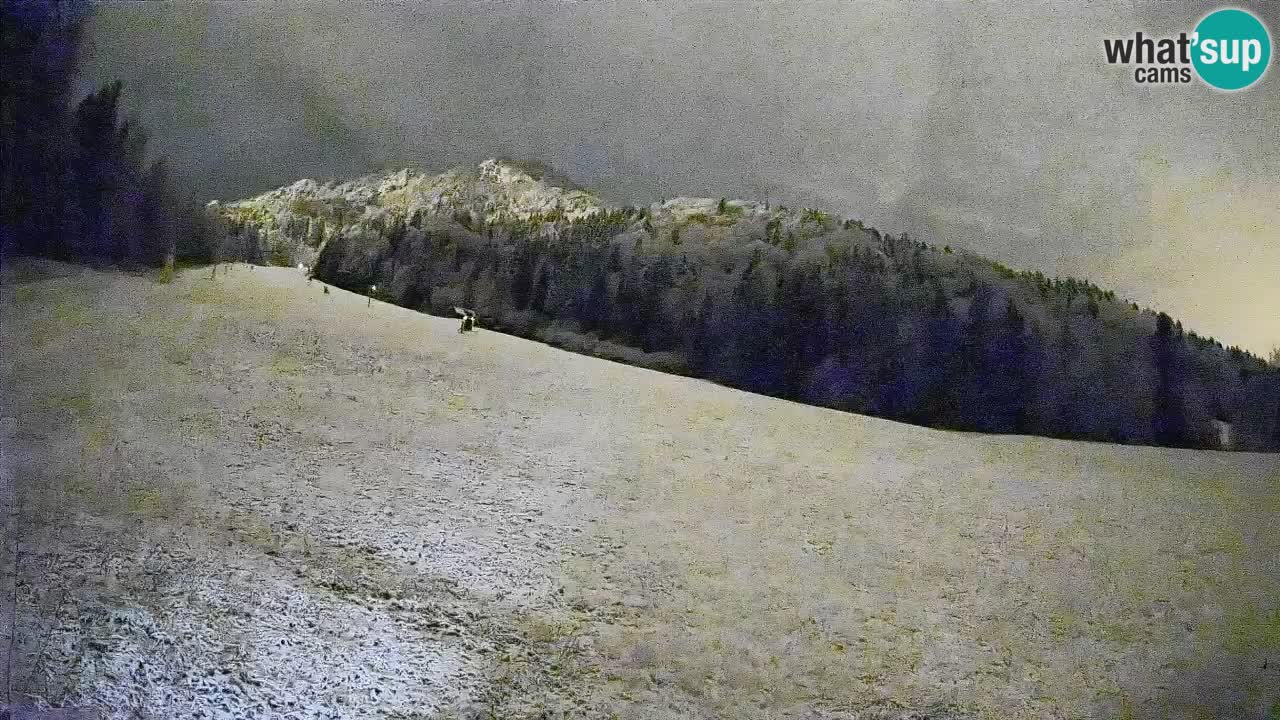 Ski Kranjska Gora | Brsnina