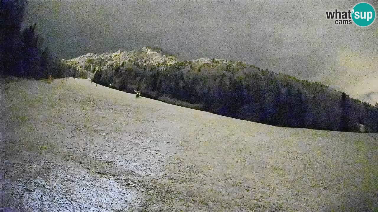 Ski Kranjska Gora | Brsnina