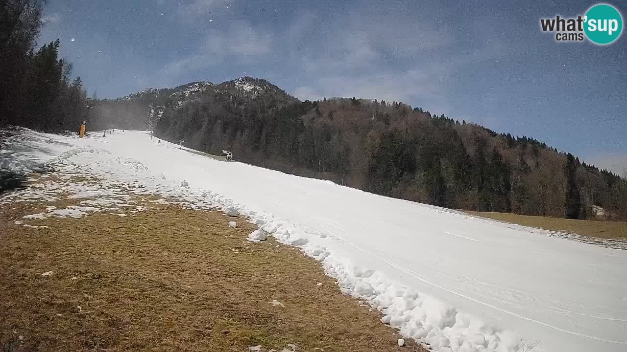 RTC Kranjska Gora | Brsnina