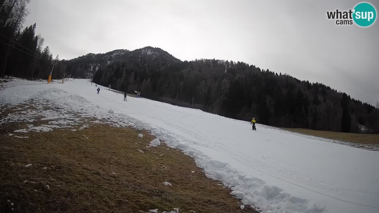 Kranjska Gora Station de ski | Brsnina