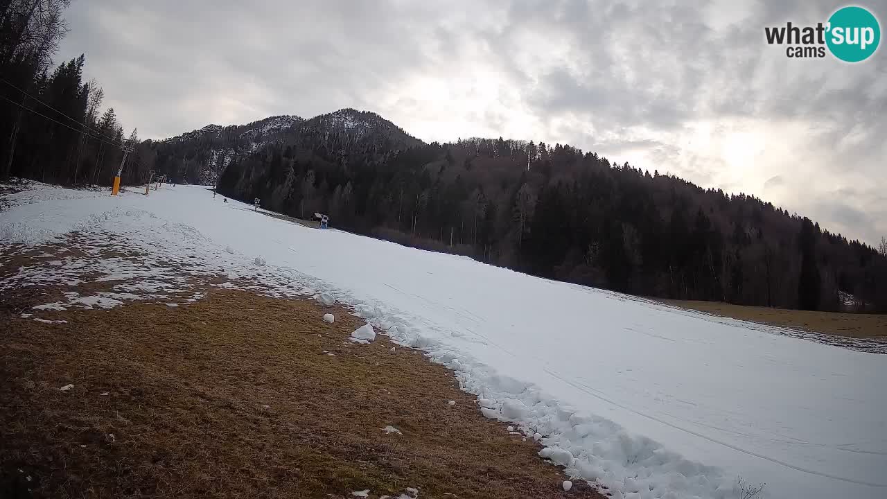 RTC Skigebiet Kranjska Gora | Brsnina