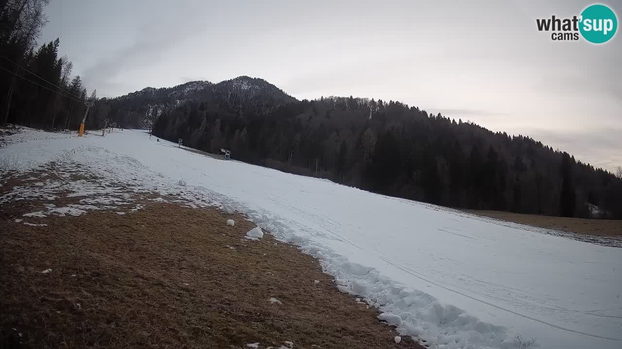 Kranjska Gora Station de ski | Brsnina