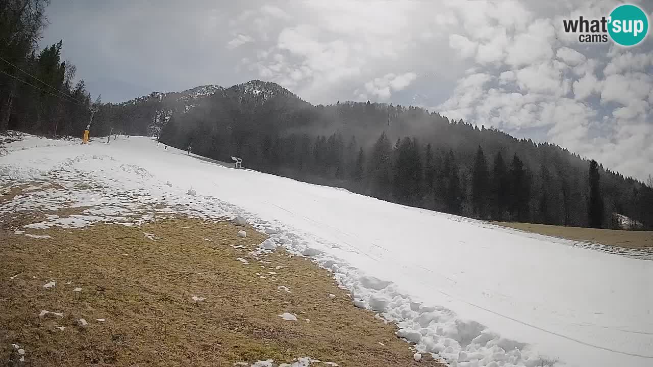 Comprensorio sciistico Kranjska Gora | Brsnina