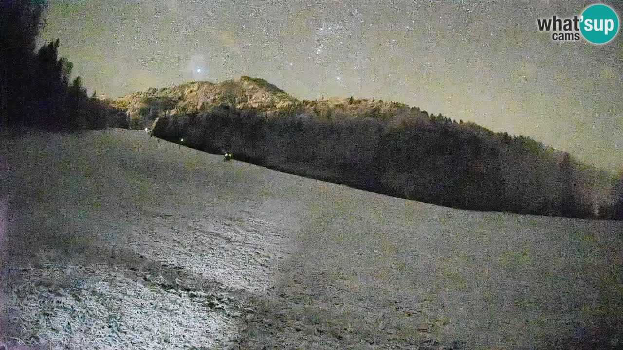 Ski Kranjska Gora | Brsnina