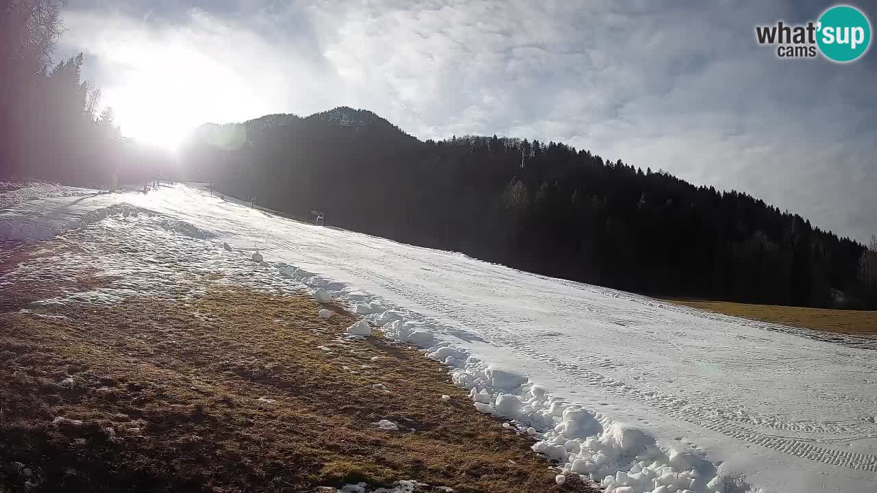 Ski Kranjska Gora | Brsnina