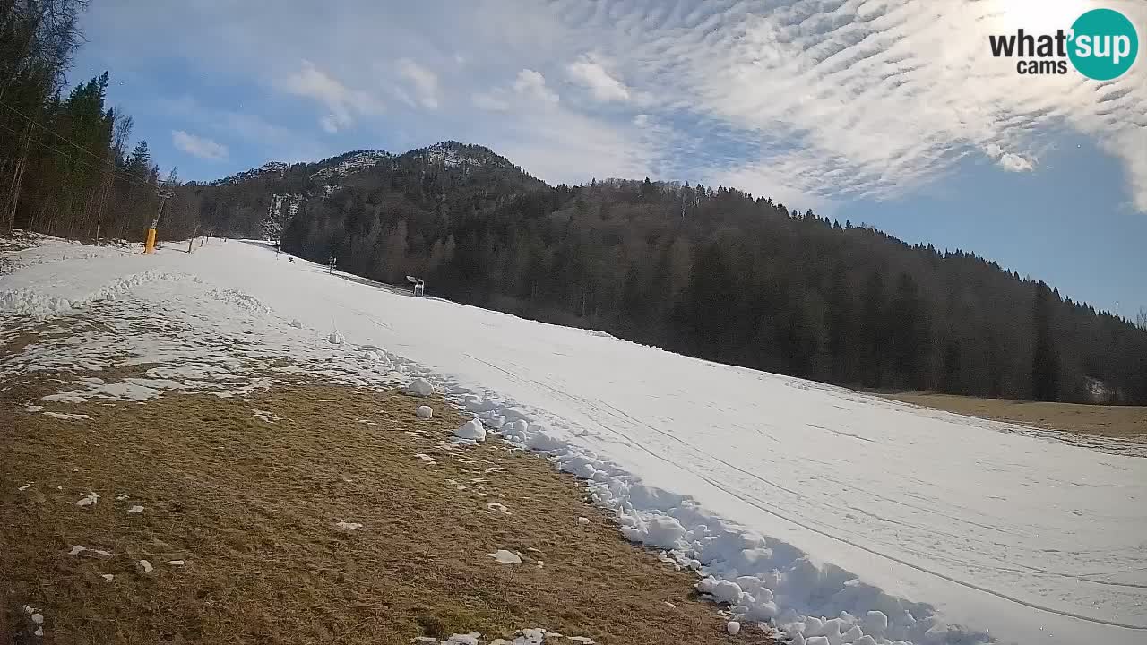 RTC Kranjska Gora | Brsnina