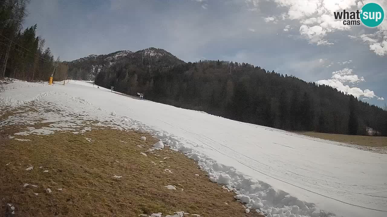 RTC Kranjska Gora | Brsnina