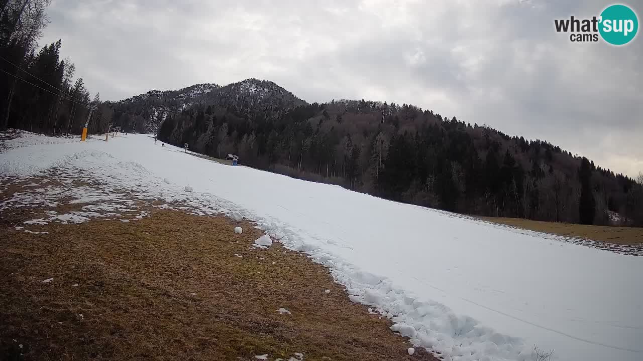 Kranjska Gora Station de ski | Brsnina