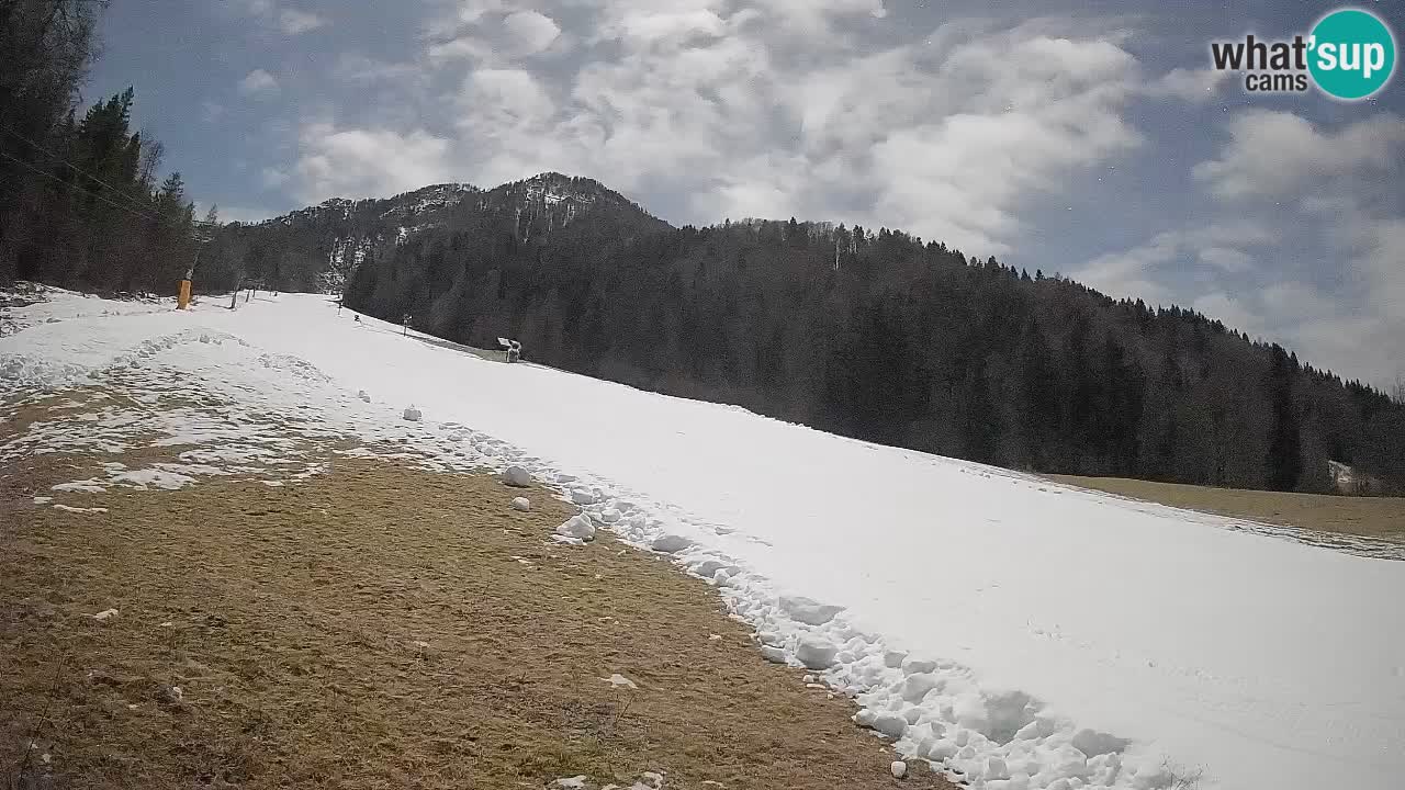 Ski Kranjska Gora | Brsnina