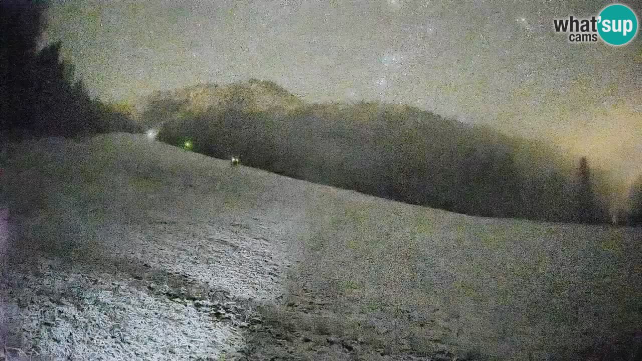 RTC Skigebiet Kranjska Gora | Brsnina