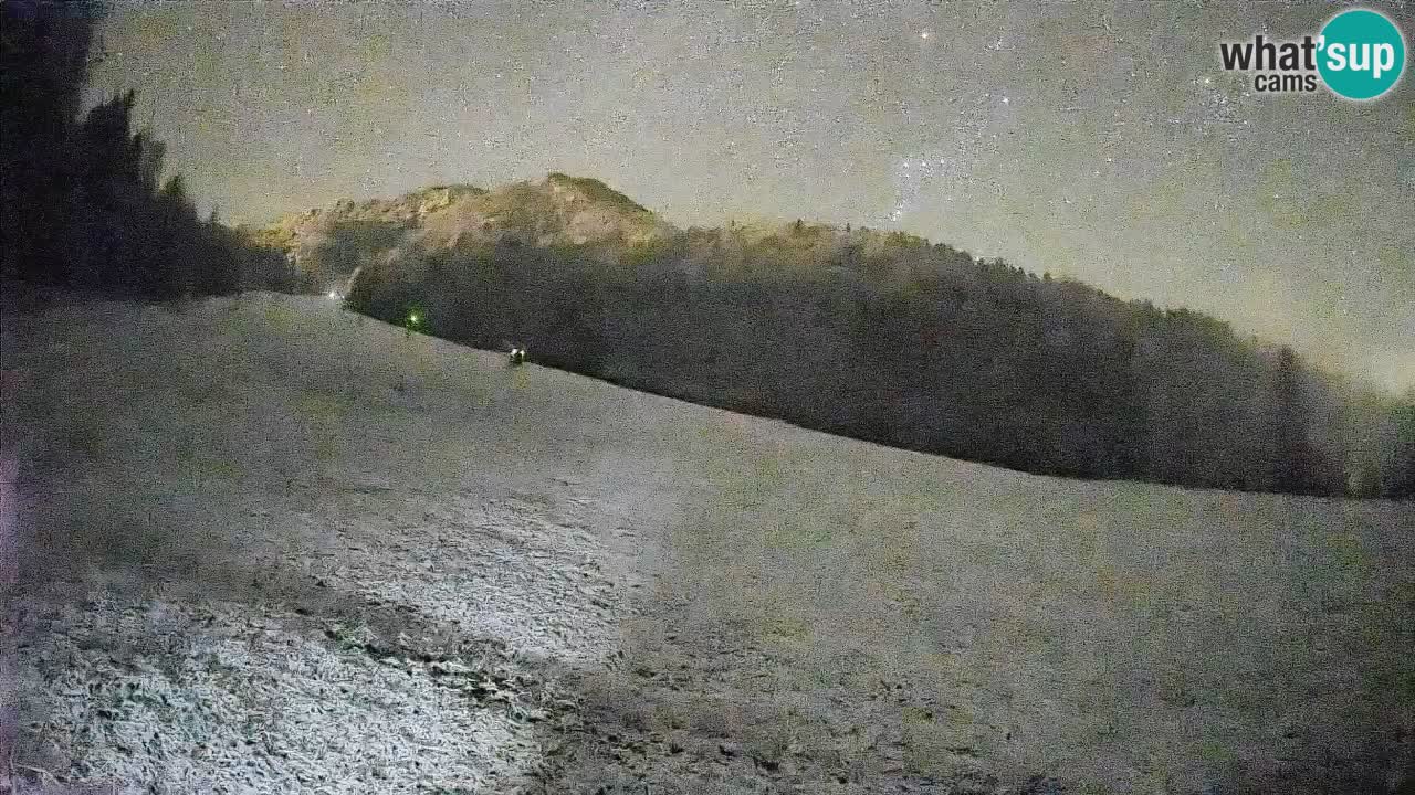 Ski Kranjska Gora | Brsnina