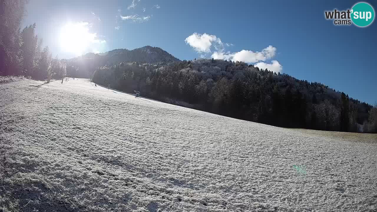 Ski Kranjska Gora | Brsnina