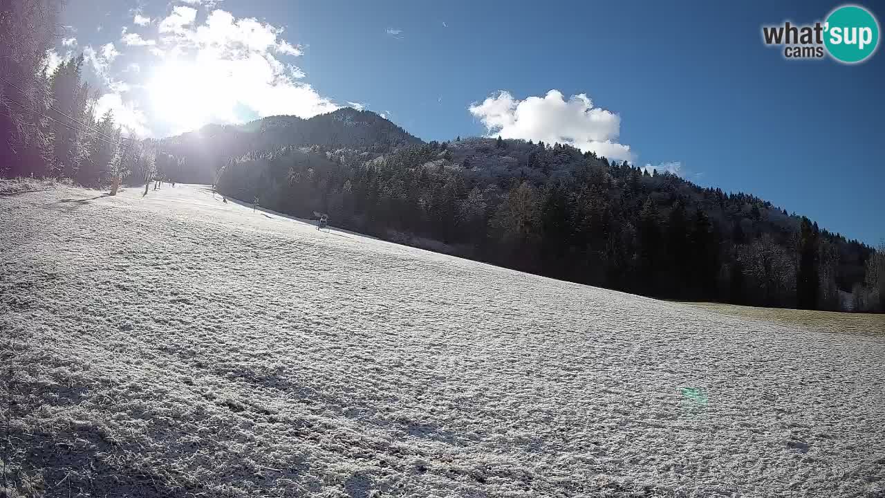 RTC Kranjska Gora | Brsnina