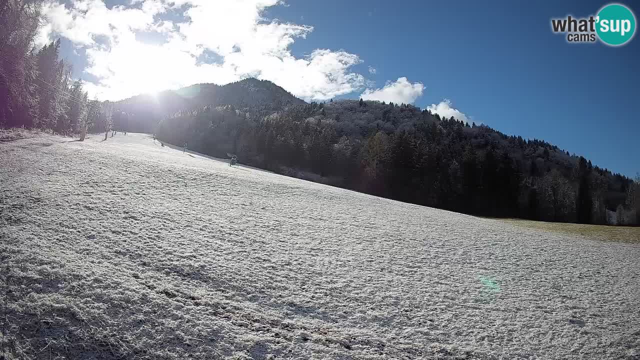 RTC Kranjska Gora | Brsnina