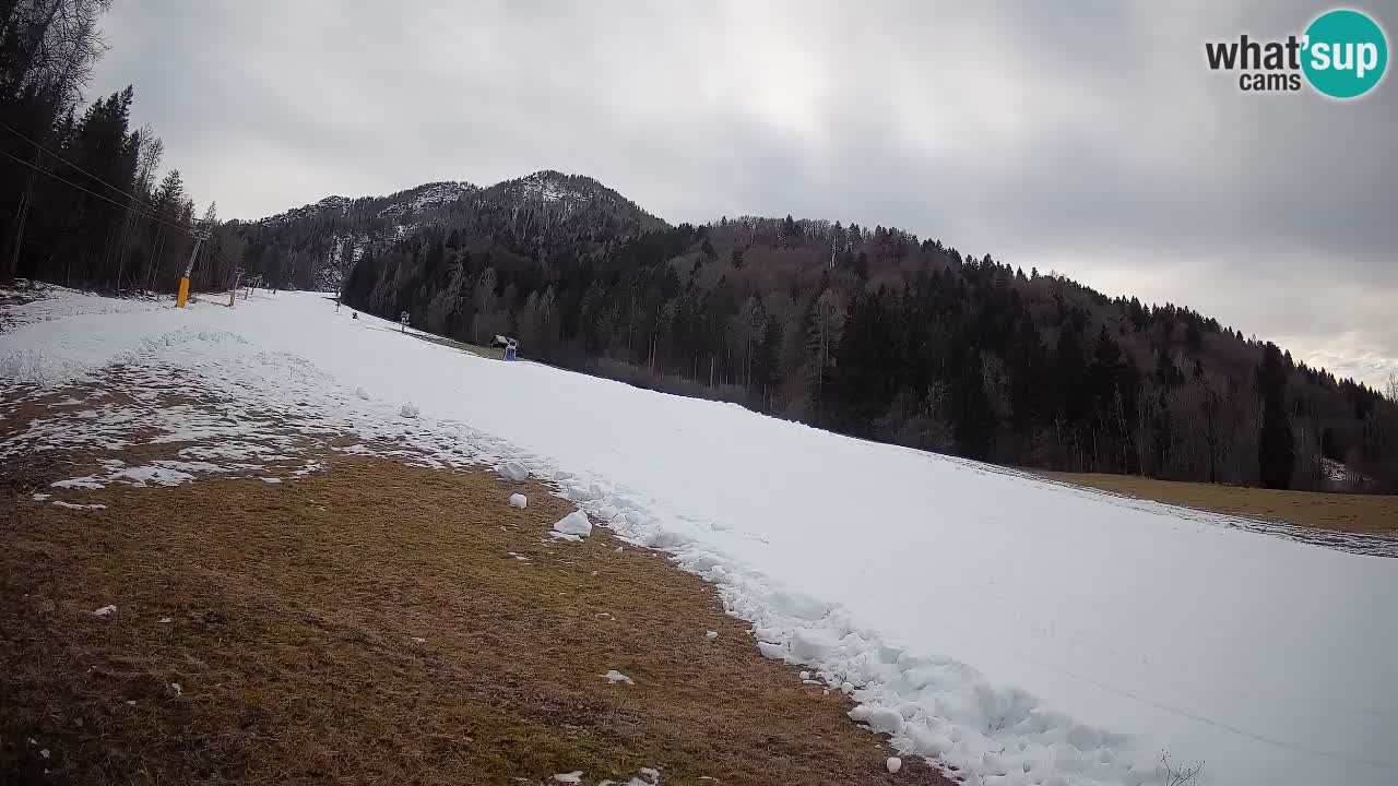 Ski Kranjska Gora | Brsnina
