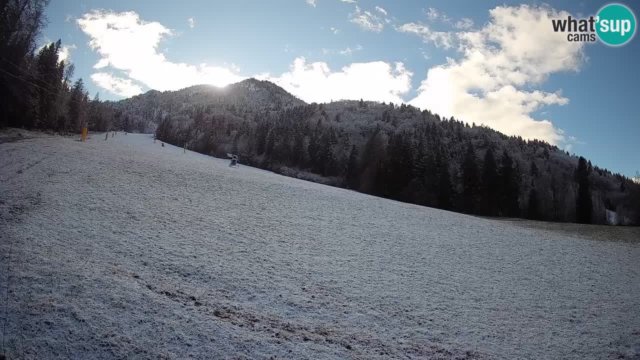 Kranjska Gora Station de ski | Brsnina
