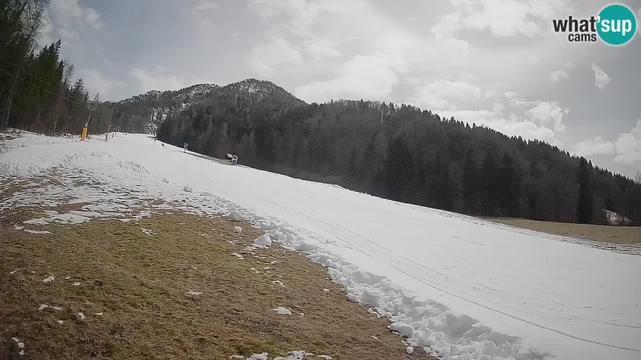 RTC Kranjska Gora | Brsnina