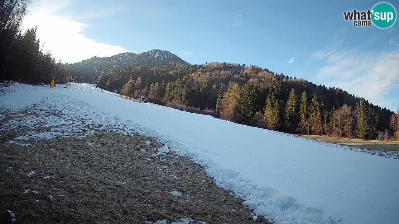 Comprensorio sciistico Kranjska Gora | Brsnina