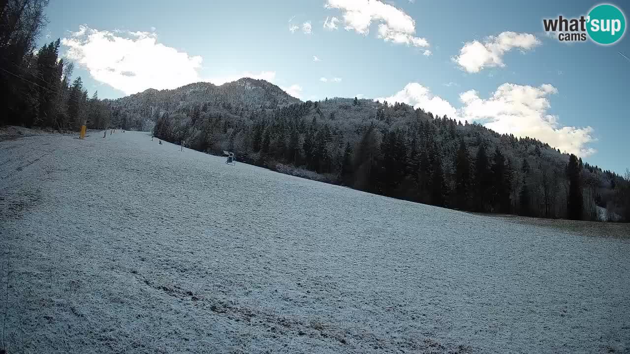 RTC Skigebiet Kranjska Gora | Brsnina