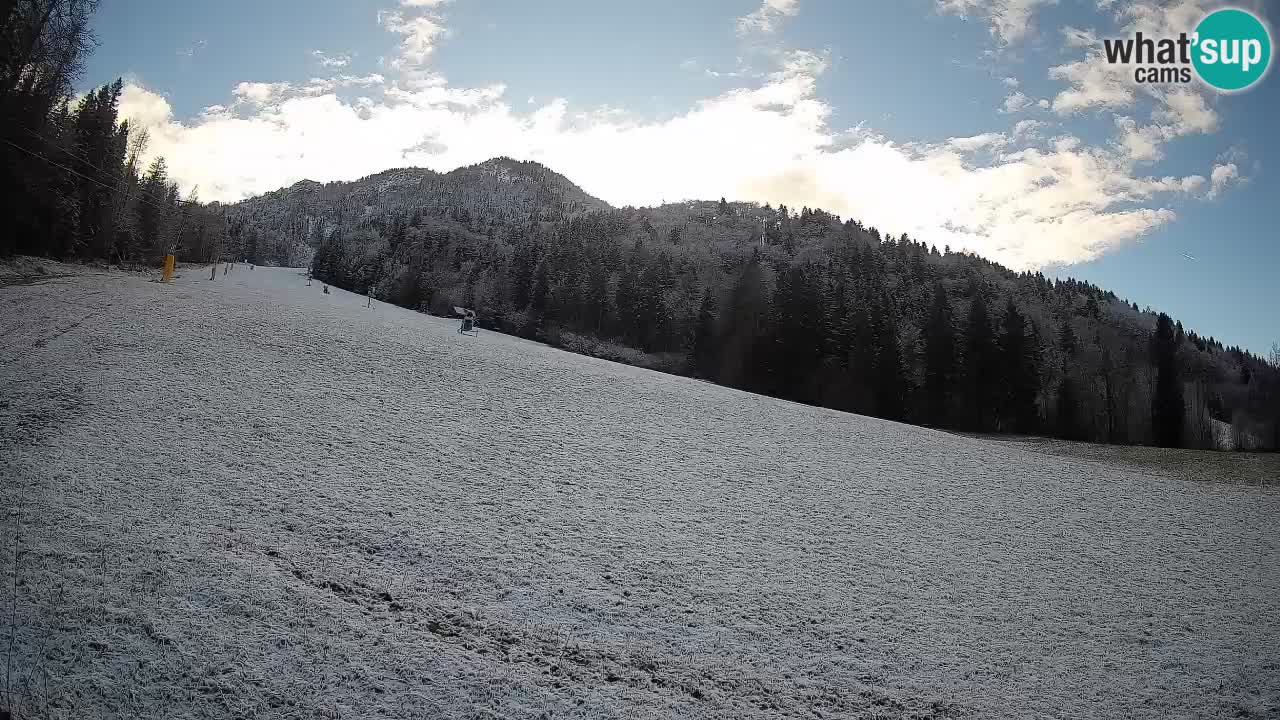 Ski Kranjska Gora | Brsnina