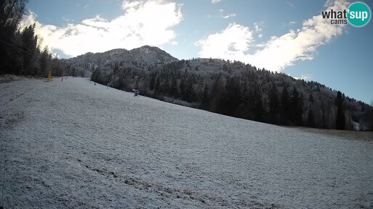 Kranjska Gora Station de ski | Brsnina