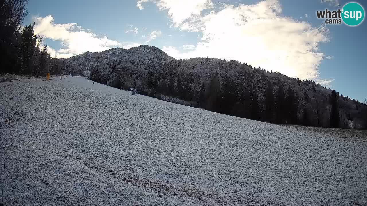 Comprensorio sciistico Kranjska Gora | Brsnina