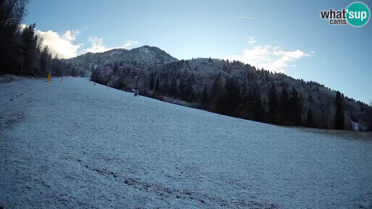 Ski Kranjska Gora | Brsnina
