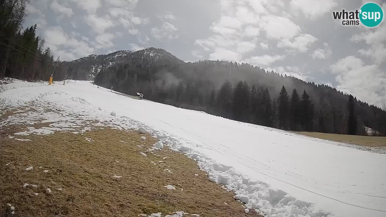 Ski Kranjska Gora | Brsnina