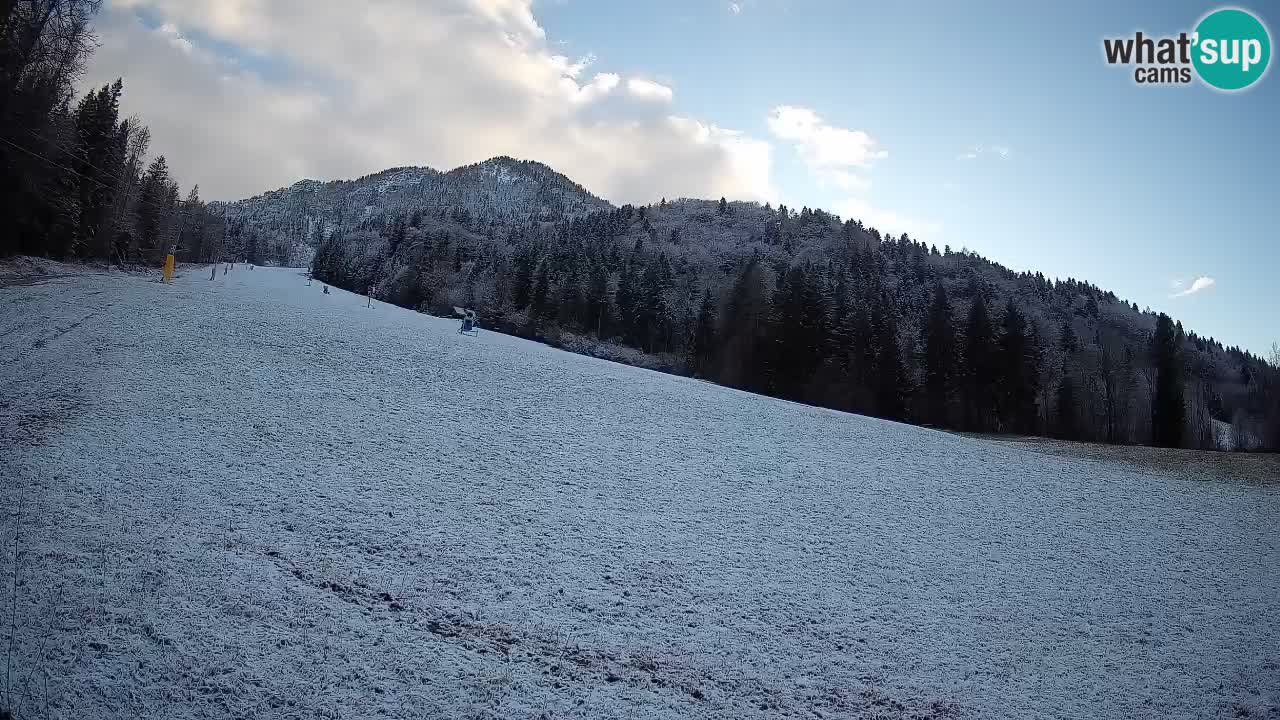 RTC Skigebiet Kranjska Gora | Brsnina