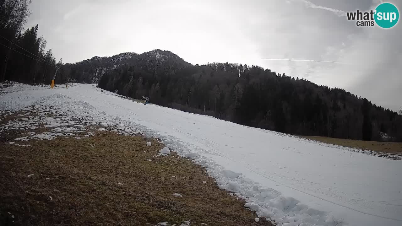 RTC Skigebiet Kranjska Gora | Brsnina