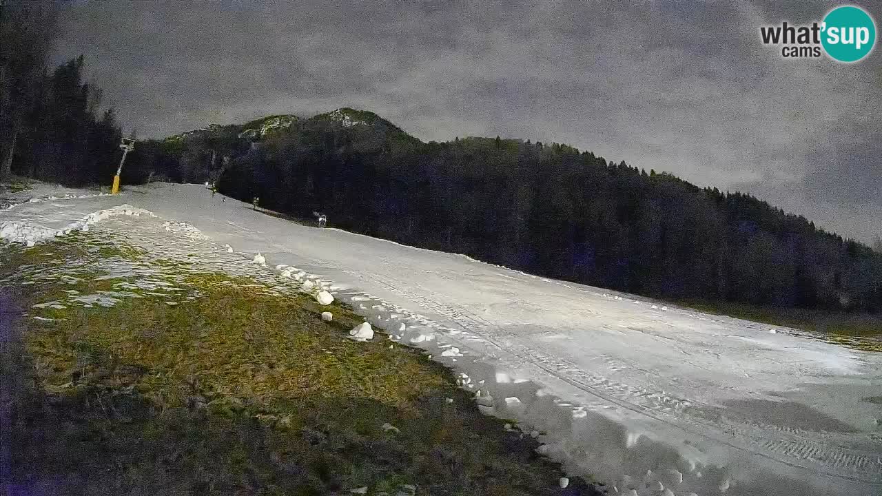 Kranjska Gora Station de ski | Brsnina